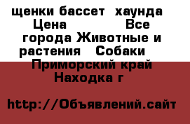 щенки бассет- хаунда › Цена ­ 20 000 - Все города Животные и растения » Собаки   . Приморский край,Находка г.